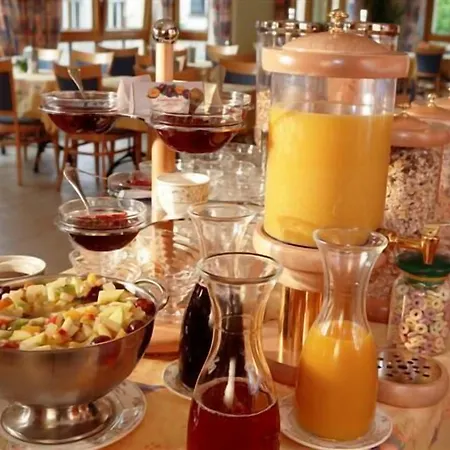 酒店 Logis Hotel-restaurant Petry 3*
