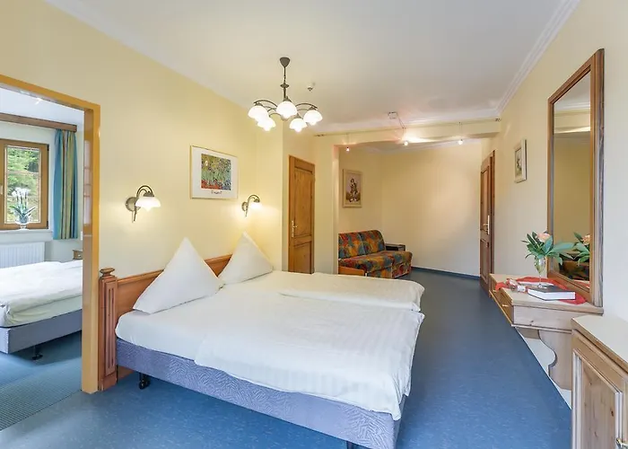 Logis Hotel-restaurant Petry Ξενοδοχείο