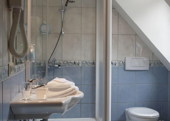 Logis Hotel-restaurant Petry