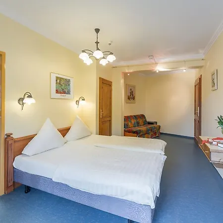 Logis Hotel-restaurant Petry 호텔