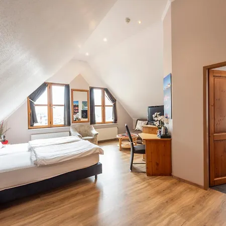 호텔 Logis Hotel-restaurant Petry 3*