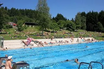 Отель Logis Hotel-restaurant Petry 3*