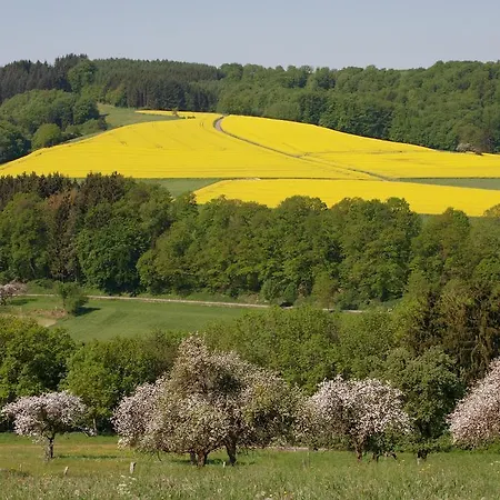 호텔 Logis Hotel-restaurant Petry