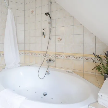 Logis Hotel-restaurant Petry 3* Вианден