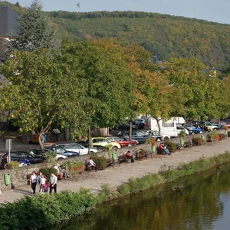 Logis Hotel-restaurant Petry فندق 3*