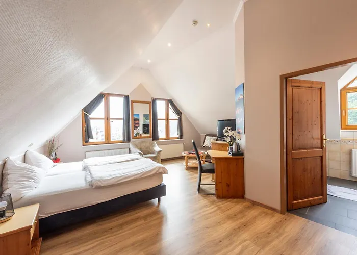 Otel Logis Hotel-restaurant Petry 3*