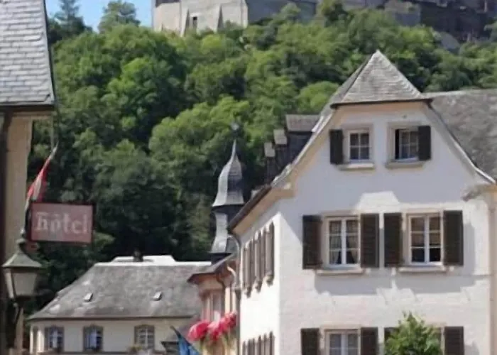 Hotel Logis Hotel-restaurant Petry 3*