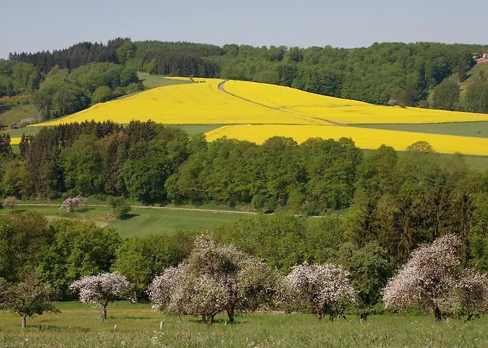Otel Logis Hotel-restaurant Petry