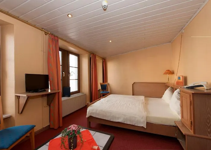 Logis Hotel-restaurant Petry 3*