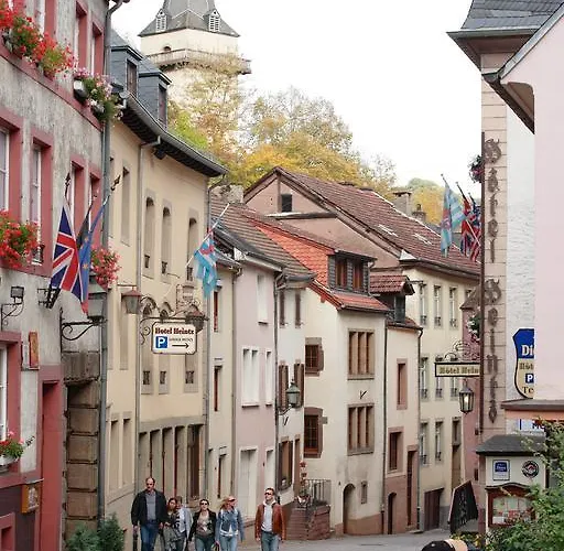 Logis Hotel-restaurant Petry Hotel